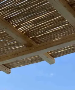 Καλάμι ολόκληρο διετές Ø20-25ΜΜ